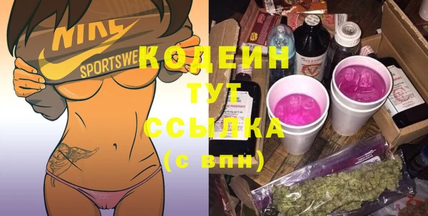 стаф Киренск