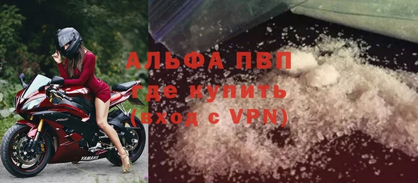 стаф Киренск