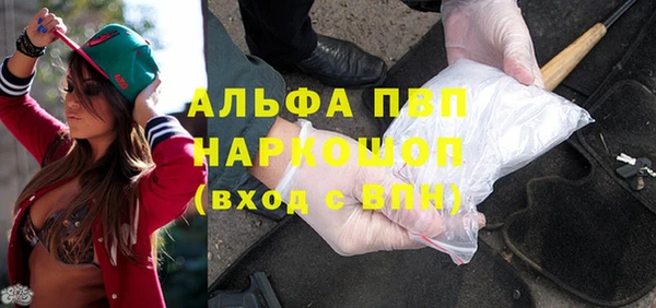 стаф Киренск