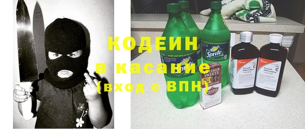 стаф Киренск