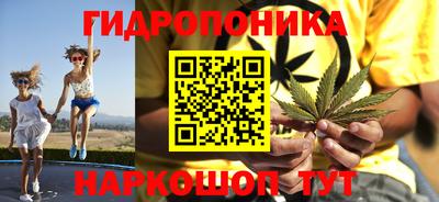 круглые Бийск