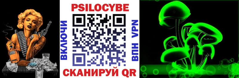 Купить где  Красноуфимск  Псилоцибиновые грибы Magic Shrooms 