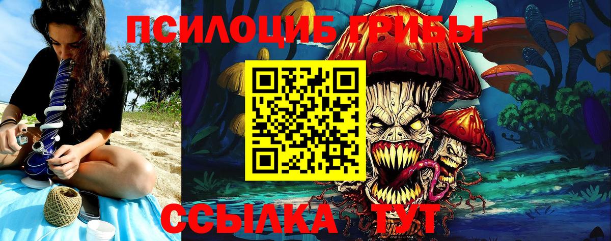 Галлюциногенные грибы Psilocybe  Красноуфимск  Галлюциногенные грибы GOLDEN TEACHER 