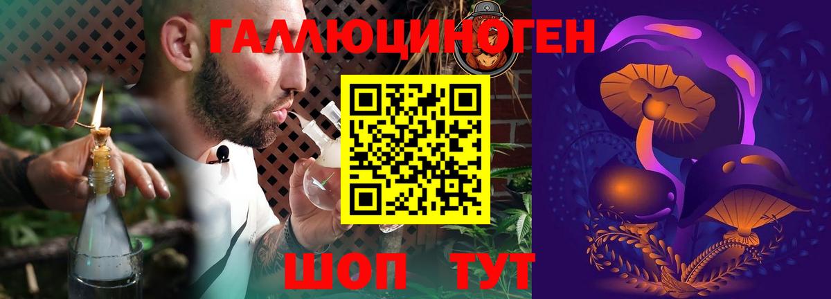 Галлюциногенные грибы Psilocybe Красноуфимск