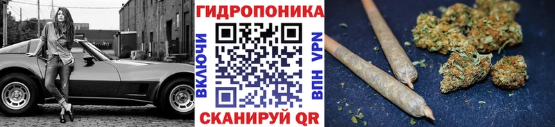Бошки Шишки планчик  Купить  Красноуфимск 